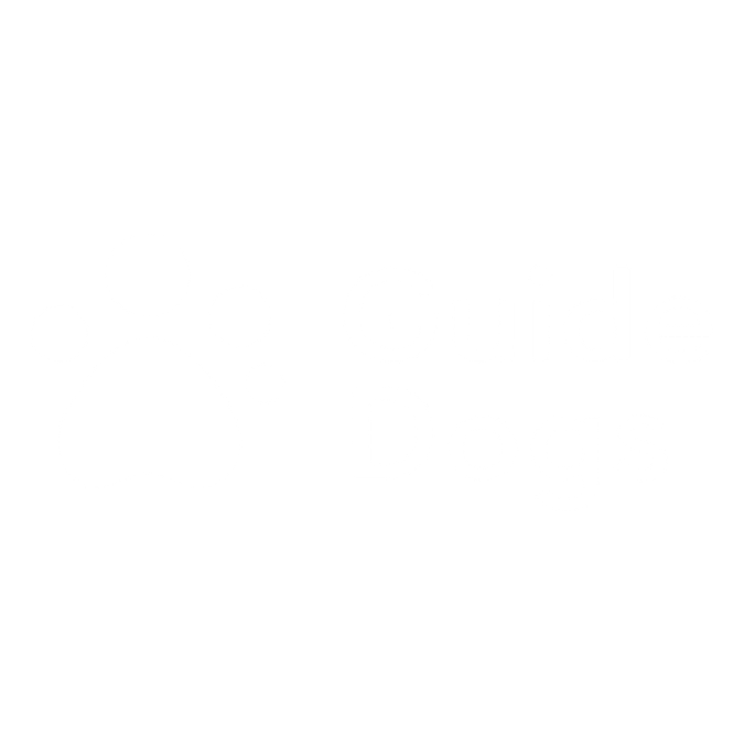 Guide Dogs